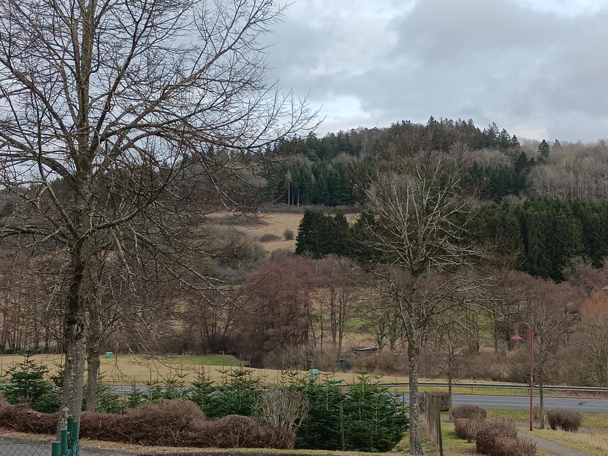 Ferienwohnung Schwarzenbergblick Келберг Екстер'єр фото